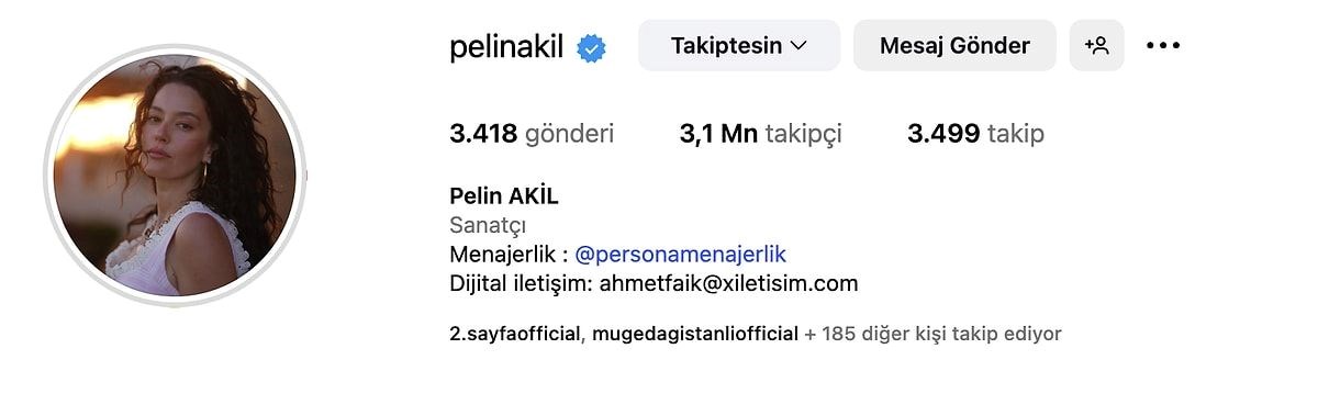 Pelin Akil'den ayrılık açıklaması sonrası dikkat çeken hamle - görsel 5