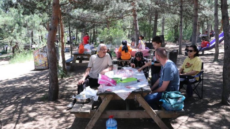 Yozgat Çamlık Milli Parkı piknikçileri ağırlıyor
