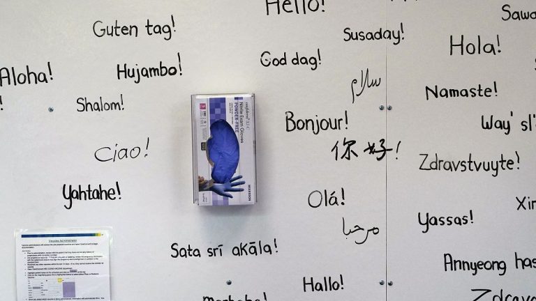 Yapay zeka Avrupa'nın tehlike altındaki dillerini yok olmaktan kurtarabilir mi?