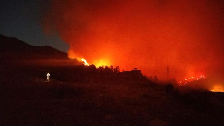 İzmir'de yangına müdahale sürüyor – Son Dakika Haberi