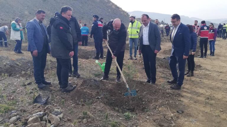 Ulusal Ağaçlandırma Günü münasebetiyle Kastamonu ilçelerinde fidanlar dikildi