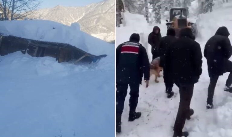 Çığ Artvin’e düştü; 2 ev ve 1 inşaat ekipmanı kar kütlesinin altındaydı – son dakika Trürkiye Haberleri