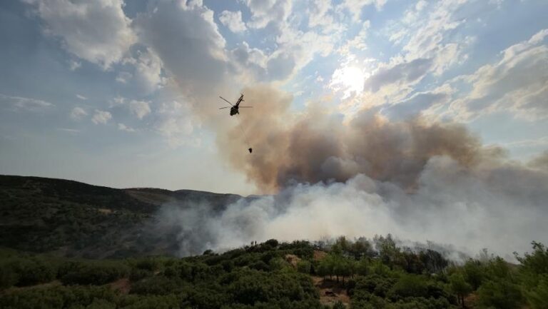 Manisa ve Edirne’de Orman Yangınlarıyla Mücadele Sürüyor