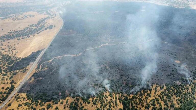 Elazığ’daki orman yangını başarıyla kontrol altına alındı